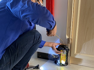 番禺上门灭白蚁——冬季是灭白蚁的最好时机